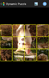 Dynamic Puzzle poster 1