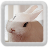 Cute Background NonStop logo