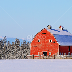 old red barn by Tiecha Broussard - Buildings & Architecture Decaying & Abandoned