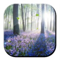 Forest Lavender Free LWP logo