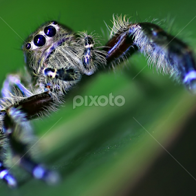 by A Friyana Wiradikarta - Uncategorized All Uncategorized