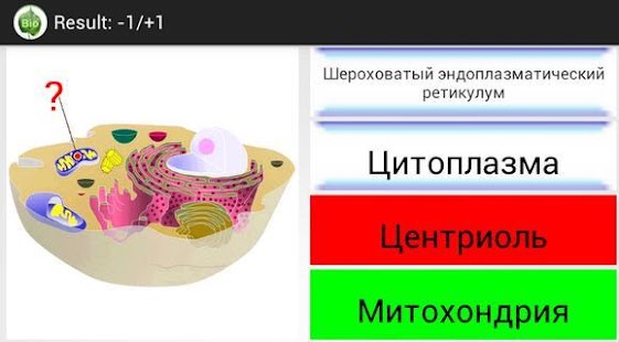 $1 CoBa-Biology Screenshots 1