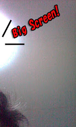 Mirror & Camera poster 1