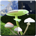 Magic Mushrooms LWP HD logo