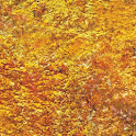 Gold Theme logo