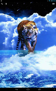Free Download Tiger in the sky live wp APK
