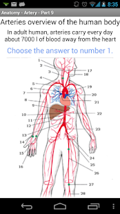 Anatomy - Arteries Screen 2