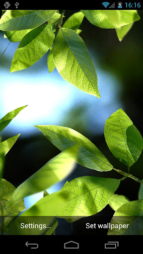 Fresh Leaves Live Wallpaper v1.0