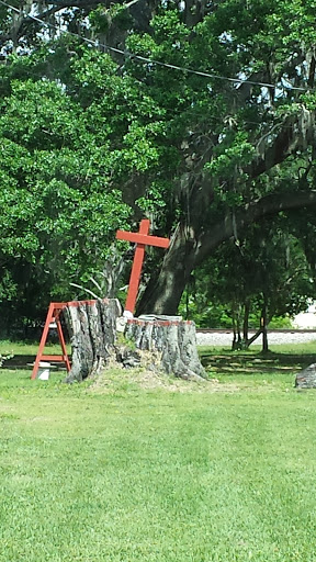 Cross in the Stump