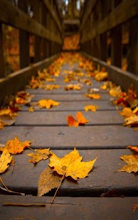 How to install Autumn Live Wallpaper patch 1.0.0 apk for bluestacks