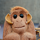 Wooden Monkey  by Subal Soral -  