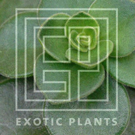 Exotic Plants LOGO-APP點子