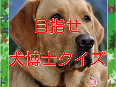 70以上 犬 クイズ 小学生 向け 109491