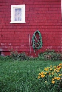 Free Download 나의 타임라인 - 프로필,연대기,일기장 APK