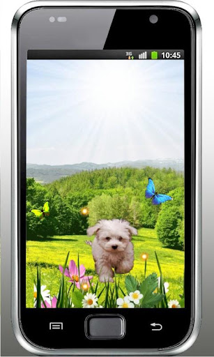 Spring Puppy live wallpaper