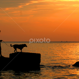 Best Friends by Robert Daveant -  