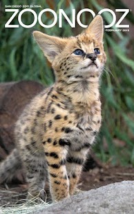 Free ZOONOOZ APK for Android