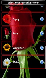 How to mod Flower Astro 1.2 unlimited apk for laptop
