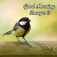 Good Morning Images 3 APK התמונה על עטיפת הסרט