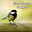 Good Morning Images 3 Download on Windows