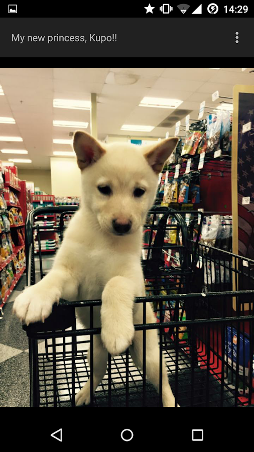 Imgr Gallery Pro - screenshot