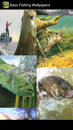 【免費個人化App】Bass Fishing Wallpapers-APP點子