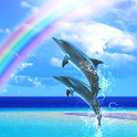 Dolphin-Champion!Free logo
