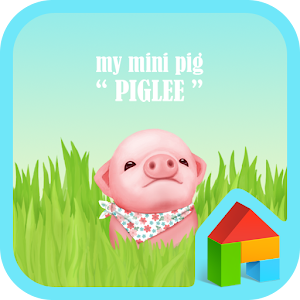 babypig pigri dodol theme.apk 4.1