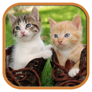 Cute Cats Jigsaw Tile Puzzle.apk 1.3