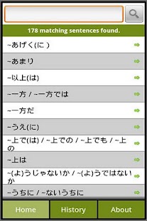 Japanese Grammar N1 Lite