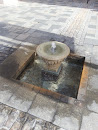 One Pot Fountain