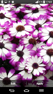 How to mod Petals 3D Live Wallpaper 1.0 apk for bluestacks