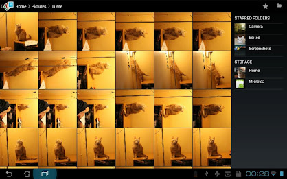 DL Image Manager poster 5