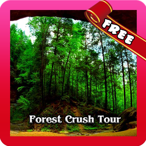 Forest Tour Guide Free