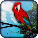 Parrot Live Wallpaper icon