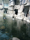 喷泉水池