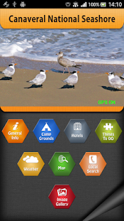 Canaveral National Seashore - náhled