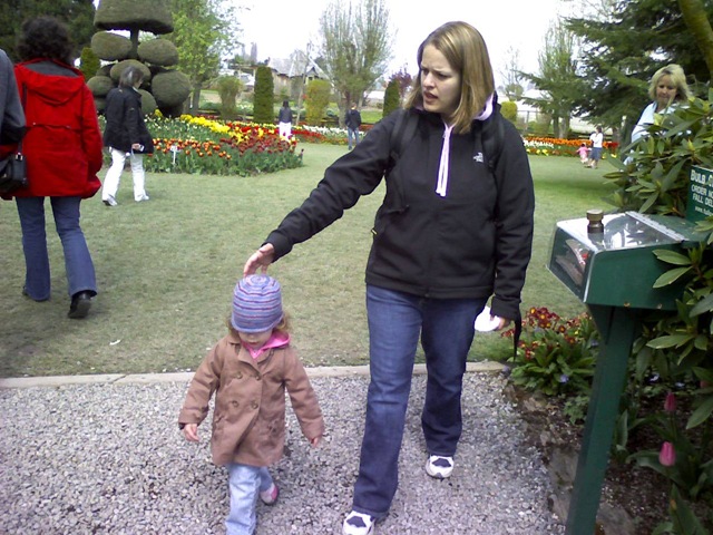 [josh blackjack 010[3].jpg]