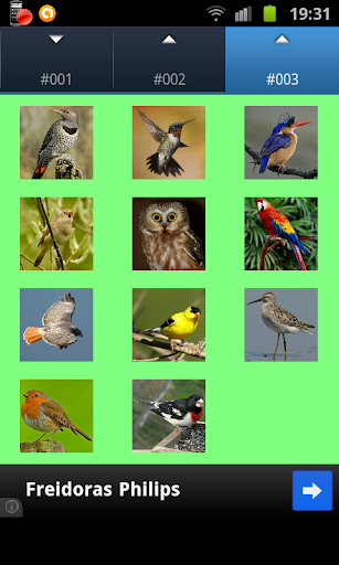 【免費娛樂App】Birds Wallpapers-APP點子