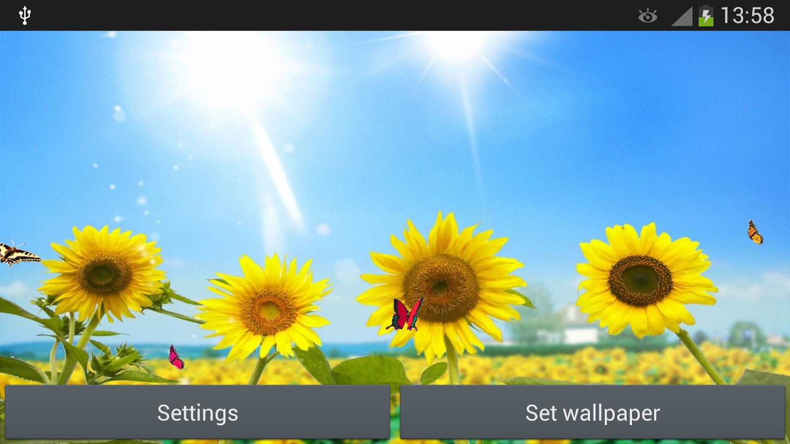 Girasoli Live Wallpaper - App Android su Google Play