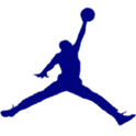 Air Jordan Retro 11 Theme icon