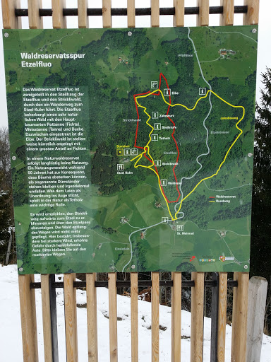 Wald Reservat Etzel