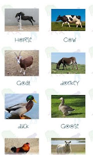 How to mod Animal Sounds 1.3 apk for laptop