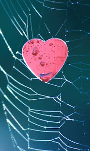 Download Valentines Day HD live WP APK