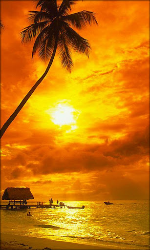 Download Sunset Live Wallpaper Google Play softwares - avQZoyg0qrej
