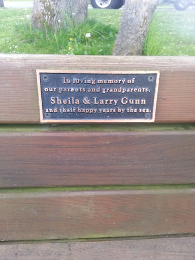 Gunn Memorial Bench