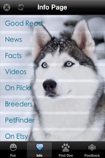 How to mod Husky+ Free 1.0 unlimited apk for android