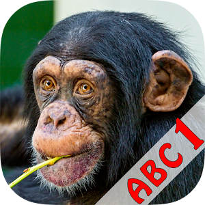 ABC Animals Flash Card 1.5