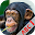 ABC Animals Flash Card Download on Windows