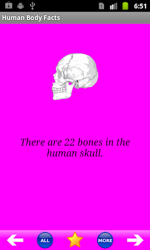 Human Body Facts